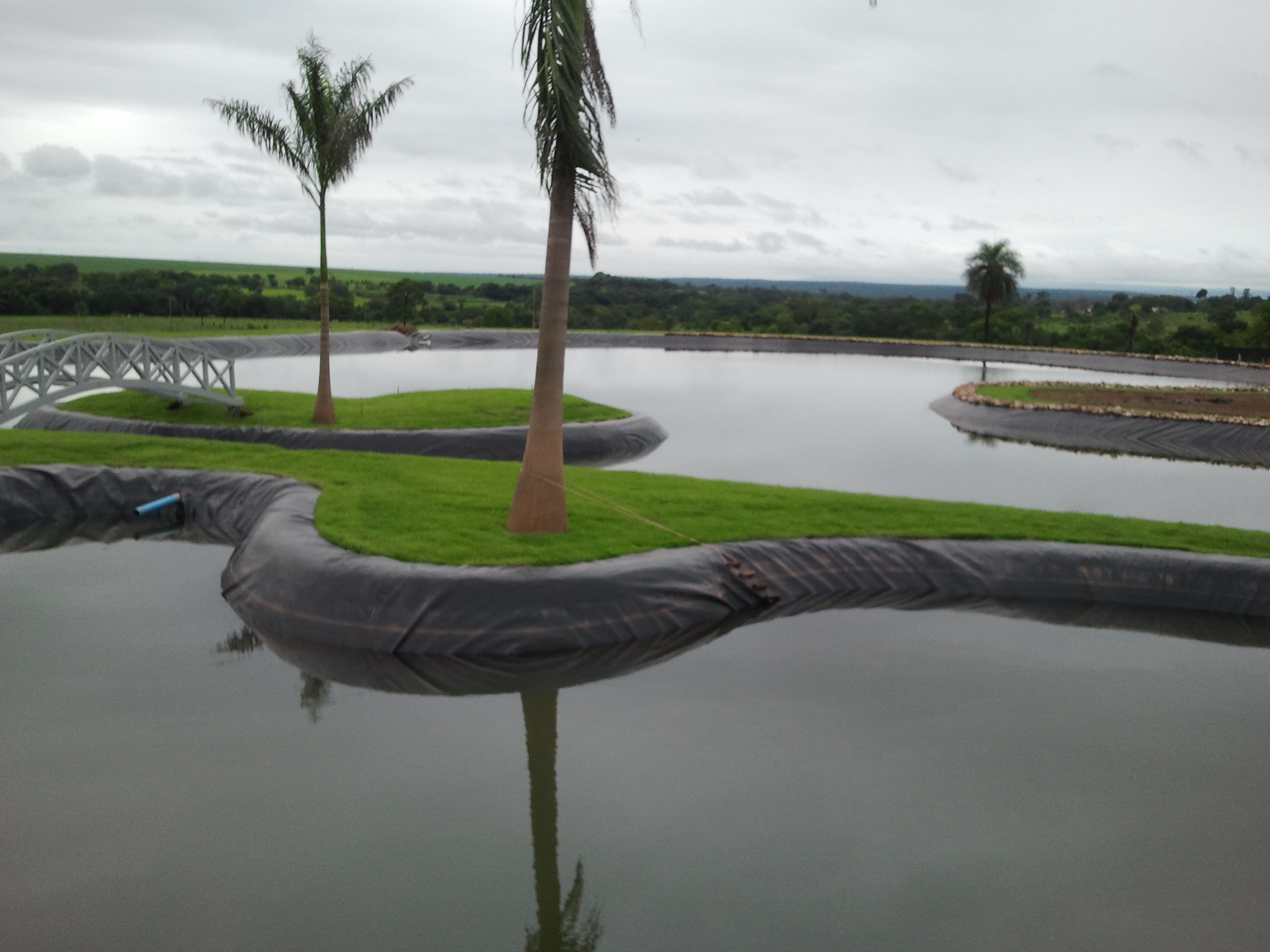 lago_ornamental1.jpg